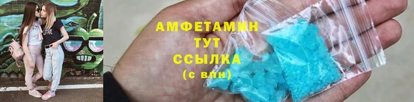 хмурый Ельня