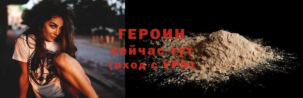 хмурый Ельня