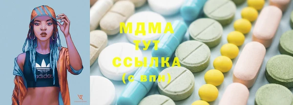 хмурый Ельня
