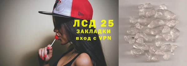 хмурый Ельня