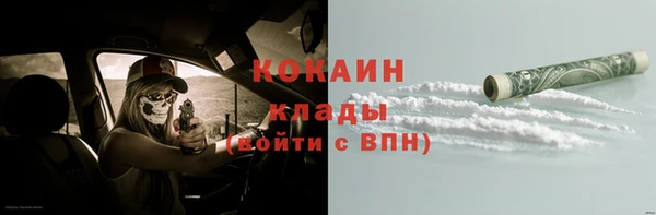 хмурый Ельня