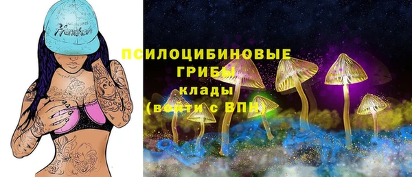 хмурый Ельня