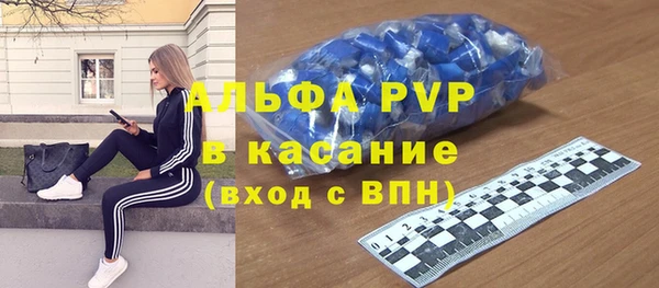 хмурый Ельня