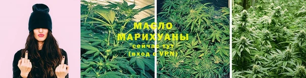 хмурый Ельня