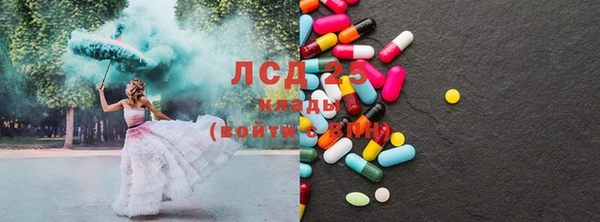 хмурый Ельня