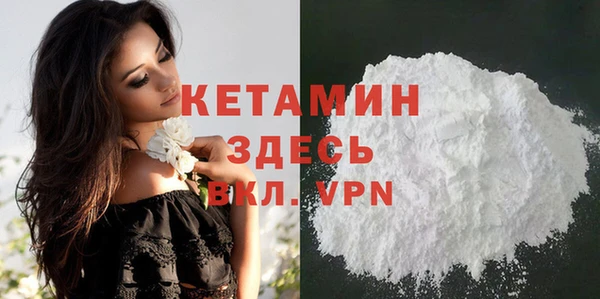 хмурый Ельня